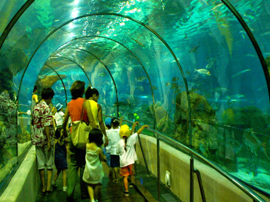Aquarium, Barcelona (Barcelona)